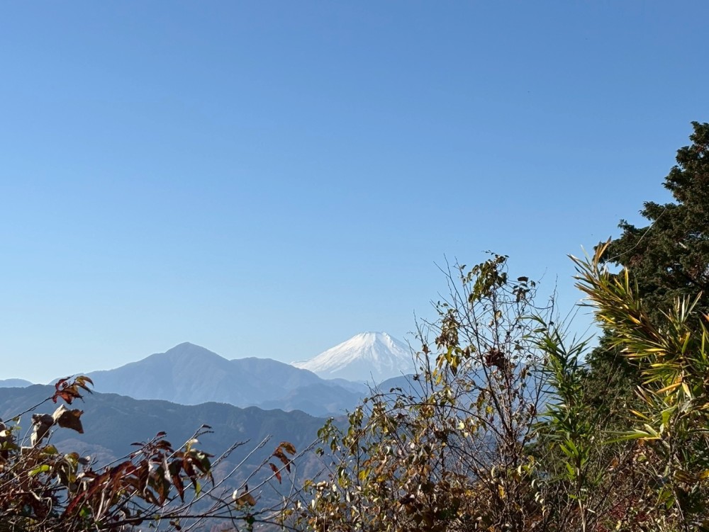 カバー写真1
