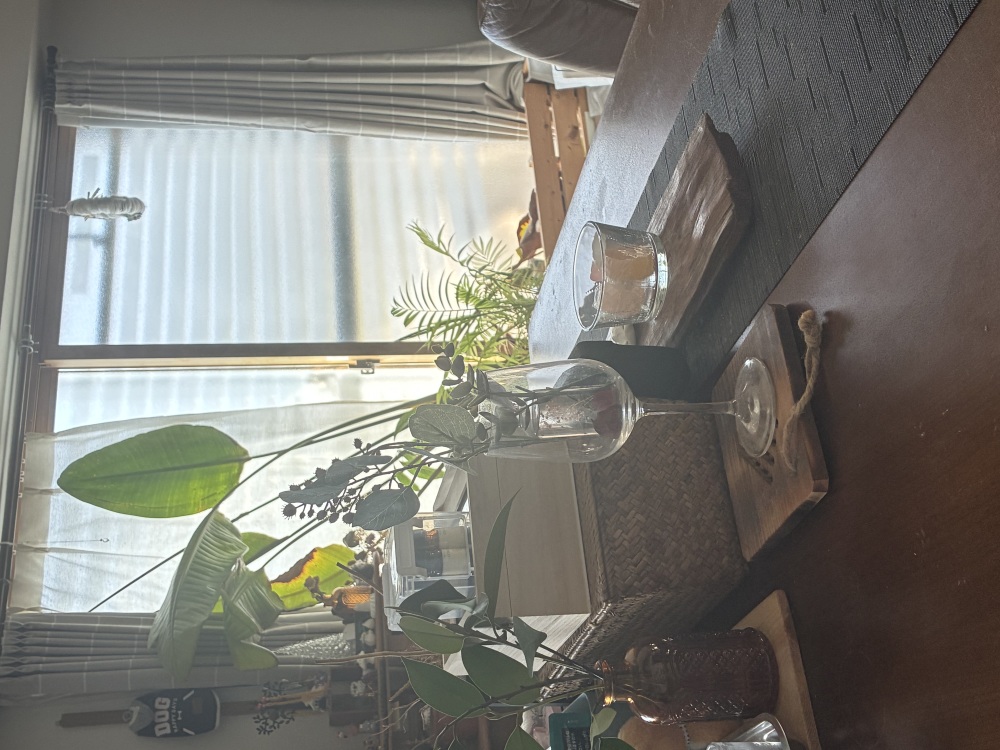 カバー写真1