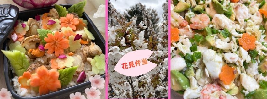 Cover photo1