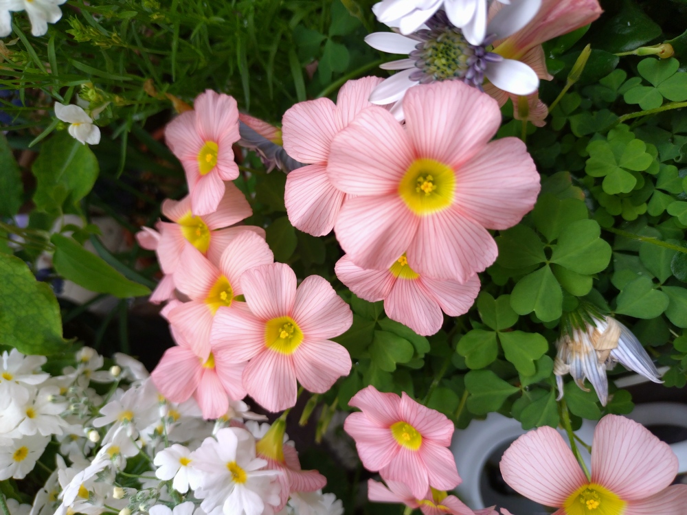 Cover photo1