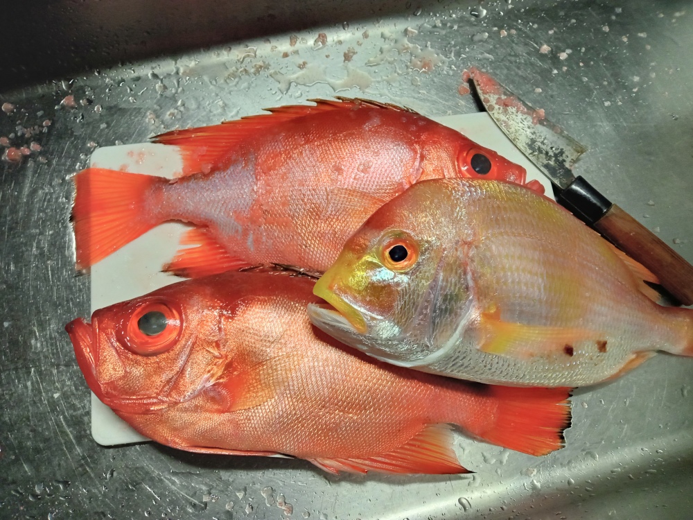 カバー写真1