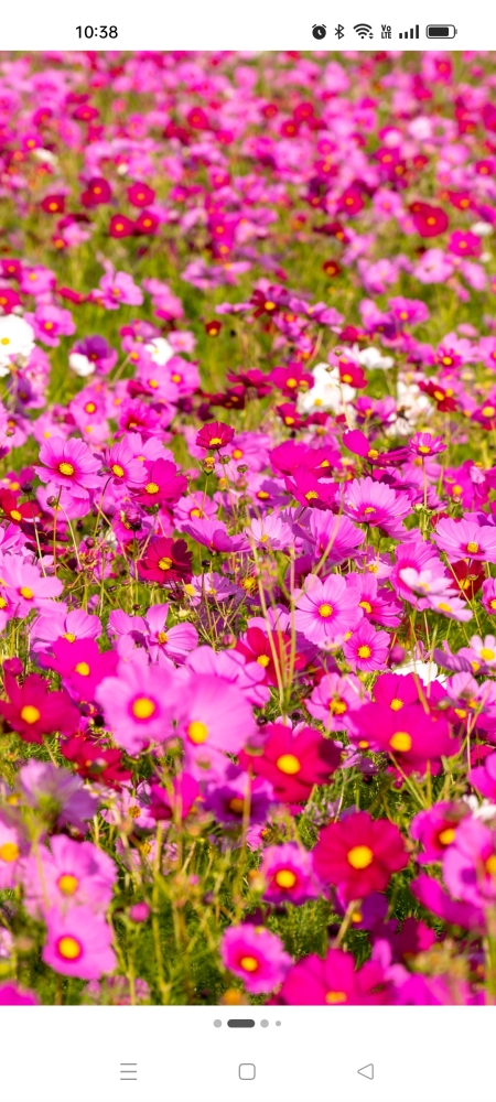 Cover photo1