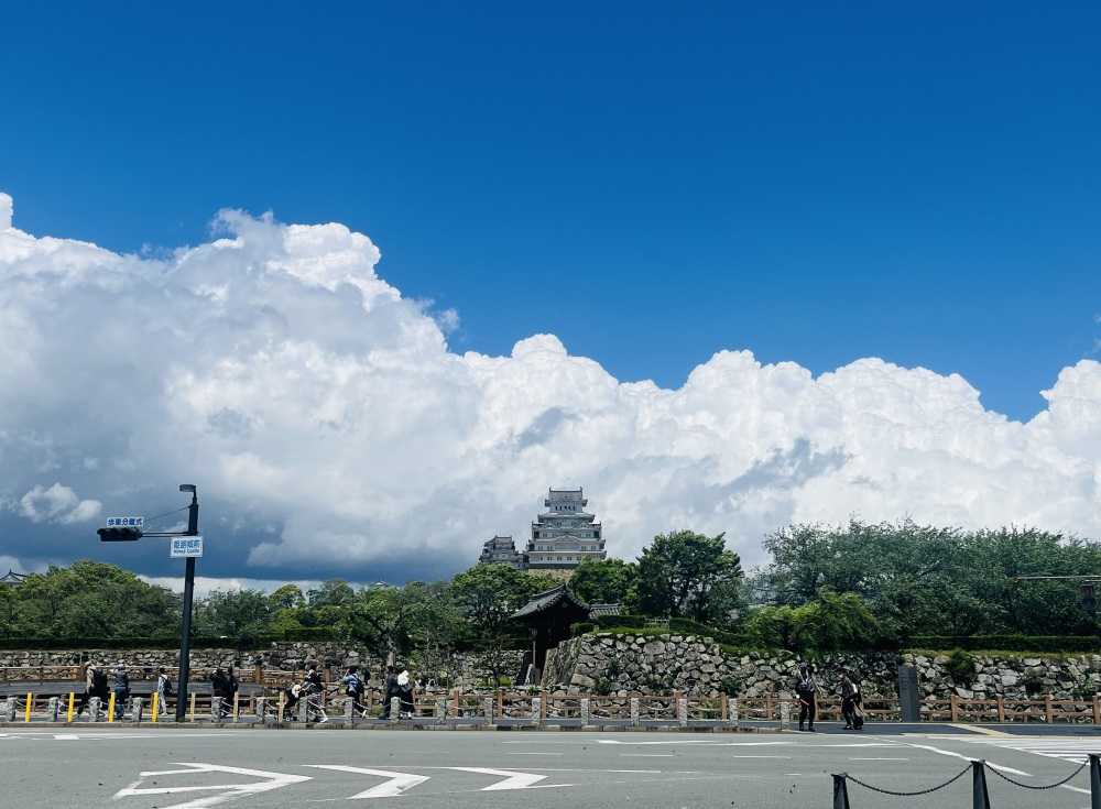 カバー写真1