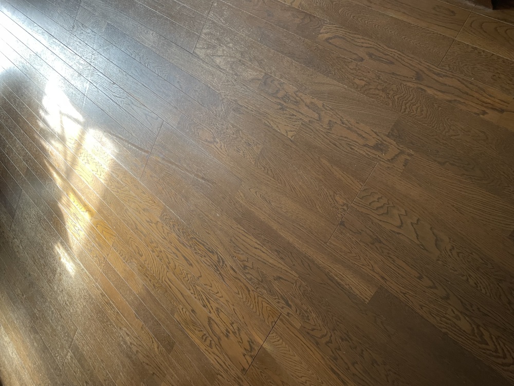 カバー写真1