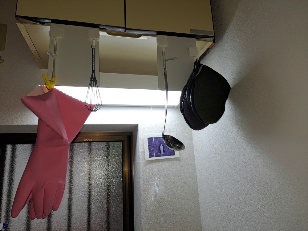 カバー写真1