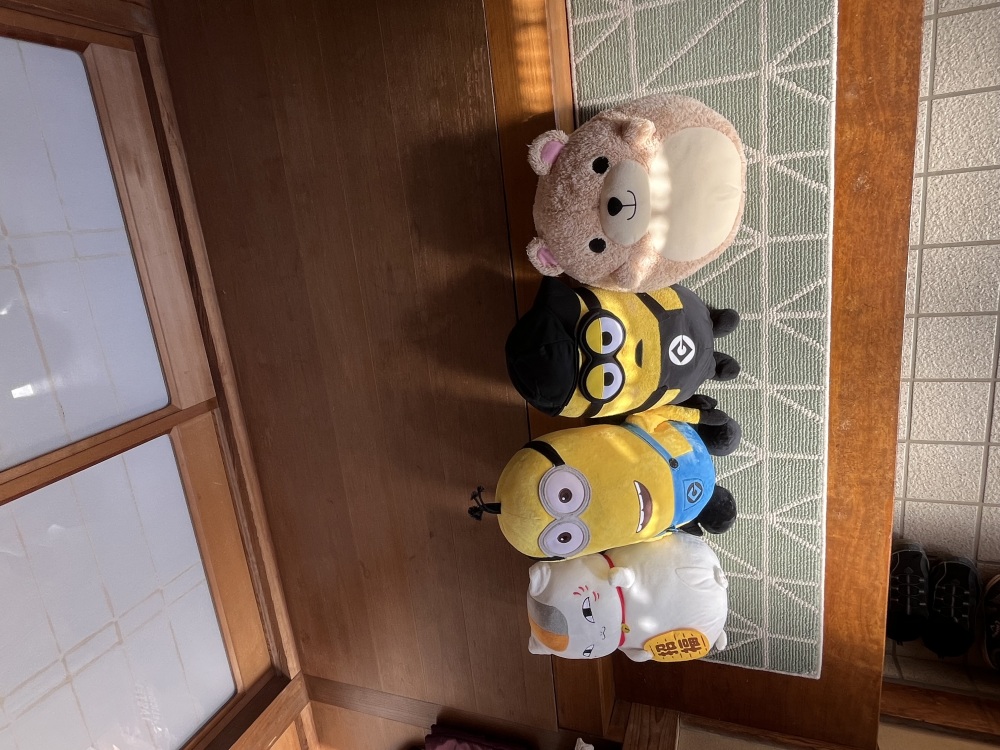 カバー写真1