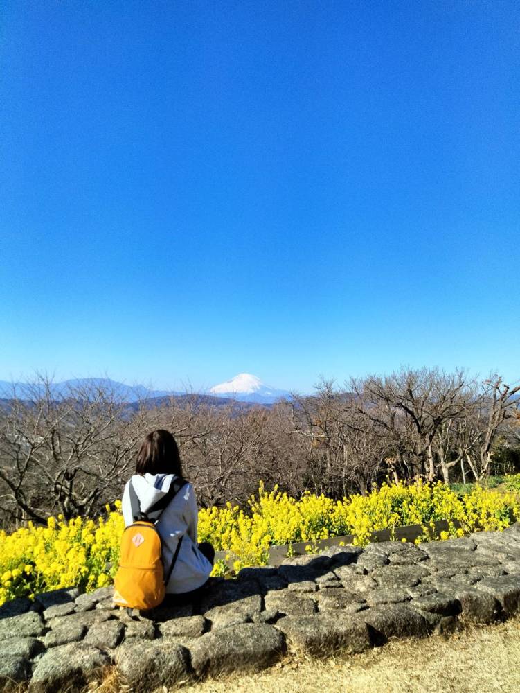 カバー写真1