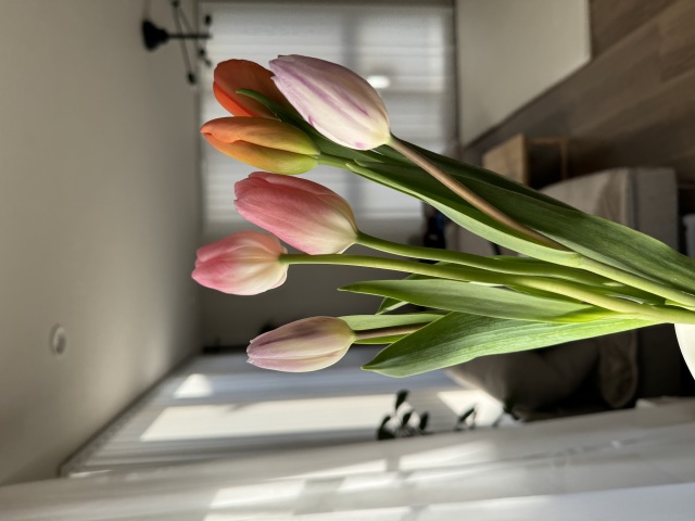 sayo.mamaのプロフィール・評判｜家事代行/家政婦マッチングサイト『タスカジ』