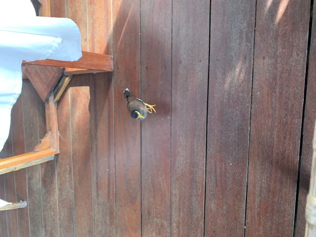 umidori's profile|Housekeeping Matching Platform TASKAJI -from 1500 yen/hour