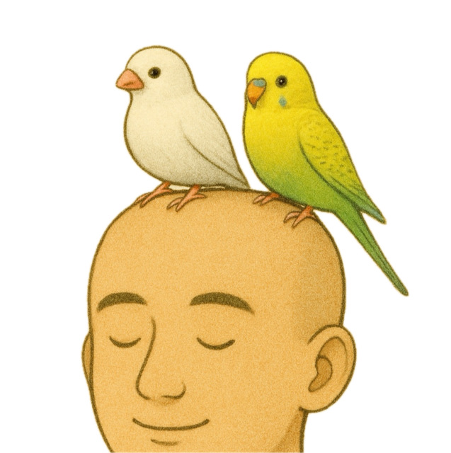 はる（＾ω＾）'s profile|Housekeeping Matching Platform TASKAJI -from 1500 yen/hour