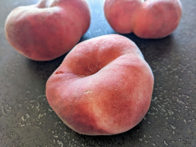 hitujisan's profile|Housekeeping Matching Platform TASKAJI -from 1500 yen/hour