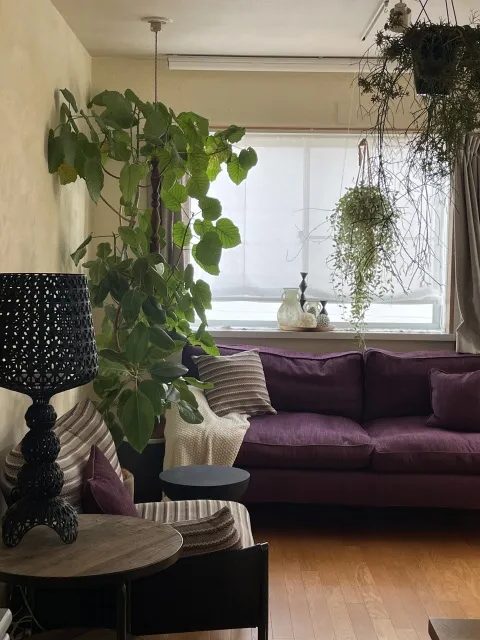 アミダラ's profile|Housekeeping Matching Platform TASKAJI -from 1500 yen/hour