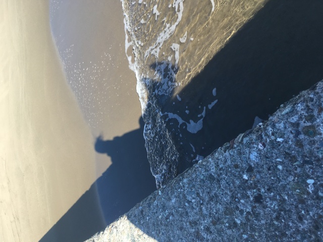 カーラ's profile|Housekeeping Matching Platform TASKAJI -from 1500 yen/hour