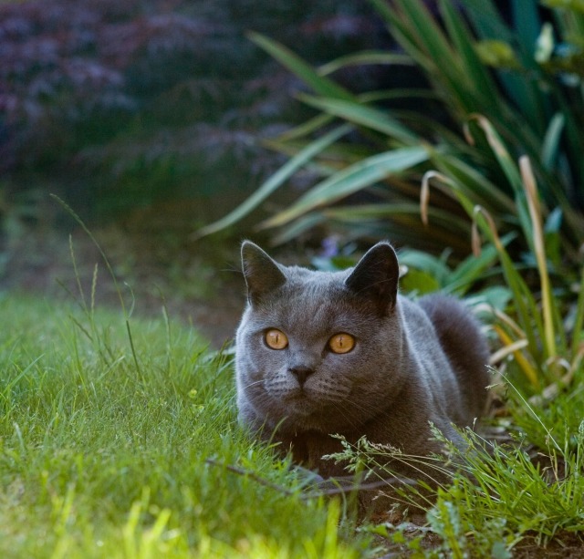 TANIA's profile|Housekeeping Matching Platform TASKAJI -from 1500 yen/hour