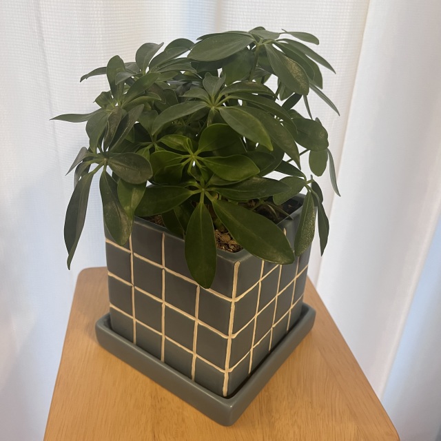 アリべ's profile|Housekeeping Matching Platform TASKAJI -from 1500 yen/hour