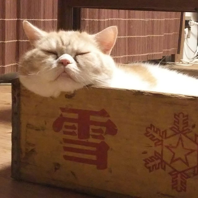 ふーちゃんのプロフィール 評判 家事代行 家政婦マッチングサイト タスカジ