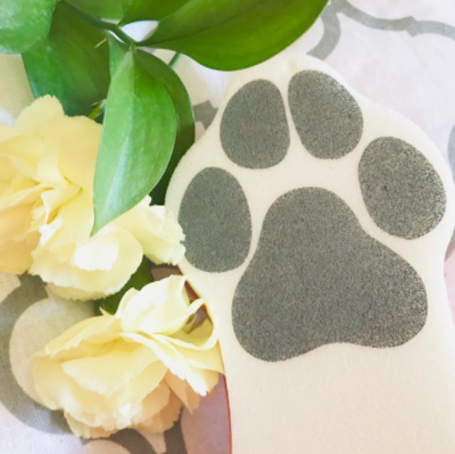 豆猫's profile|Housekeeping Matching Platform TASKAJI -from 1500 yen/hour