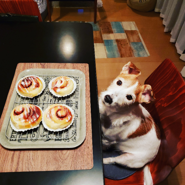 ユアン's profile|Housekeeping Matching Platform TASKAJI -from 1500 yen/hour