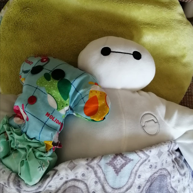 はみすけ's profile|Housekeeping Matching Platform TASKAJI -from 1500 yen/hour